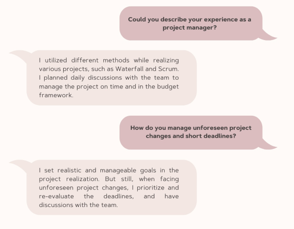 Project Manager Interview Sample